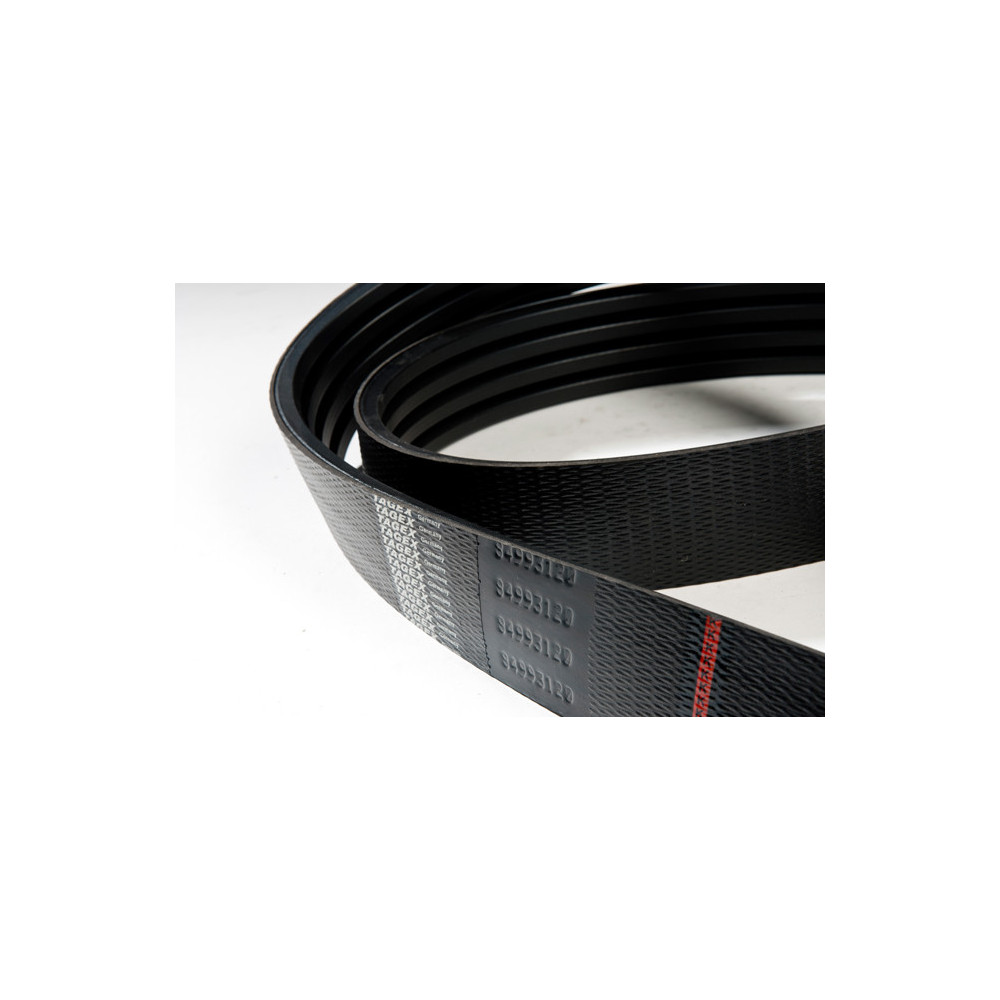 Case 1819381C1